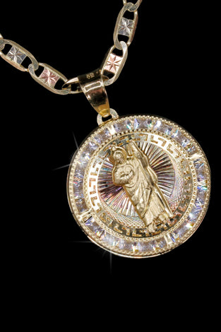 Cadena Medalla Oro 18k